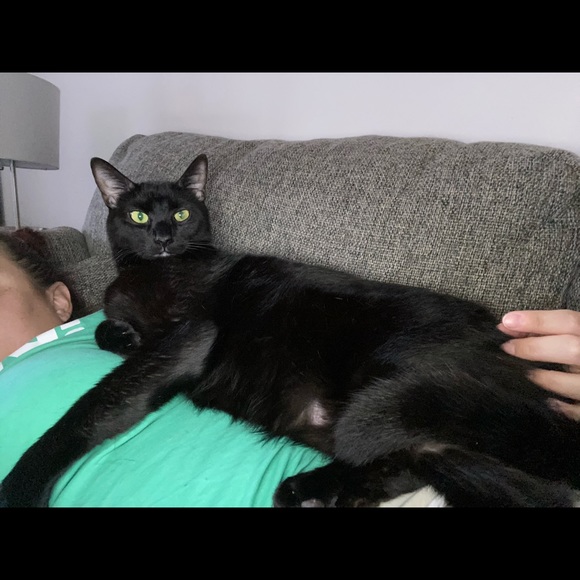 Meet your Posher, Tracy - Picture 5 of 5